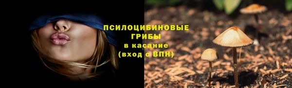 COCAINE Богородицк