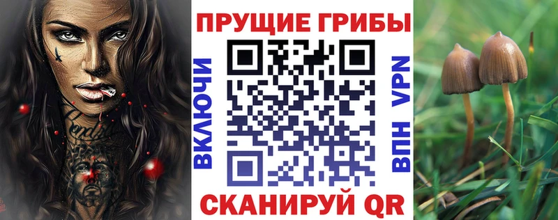 Псилоцибиновые грибы Psilocybine cubensis  что такое наркотик  Крым 